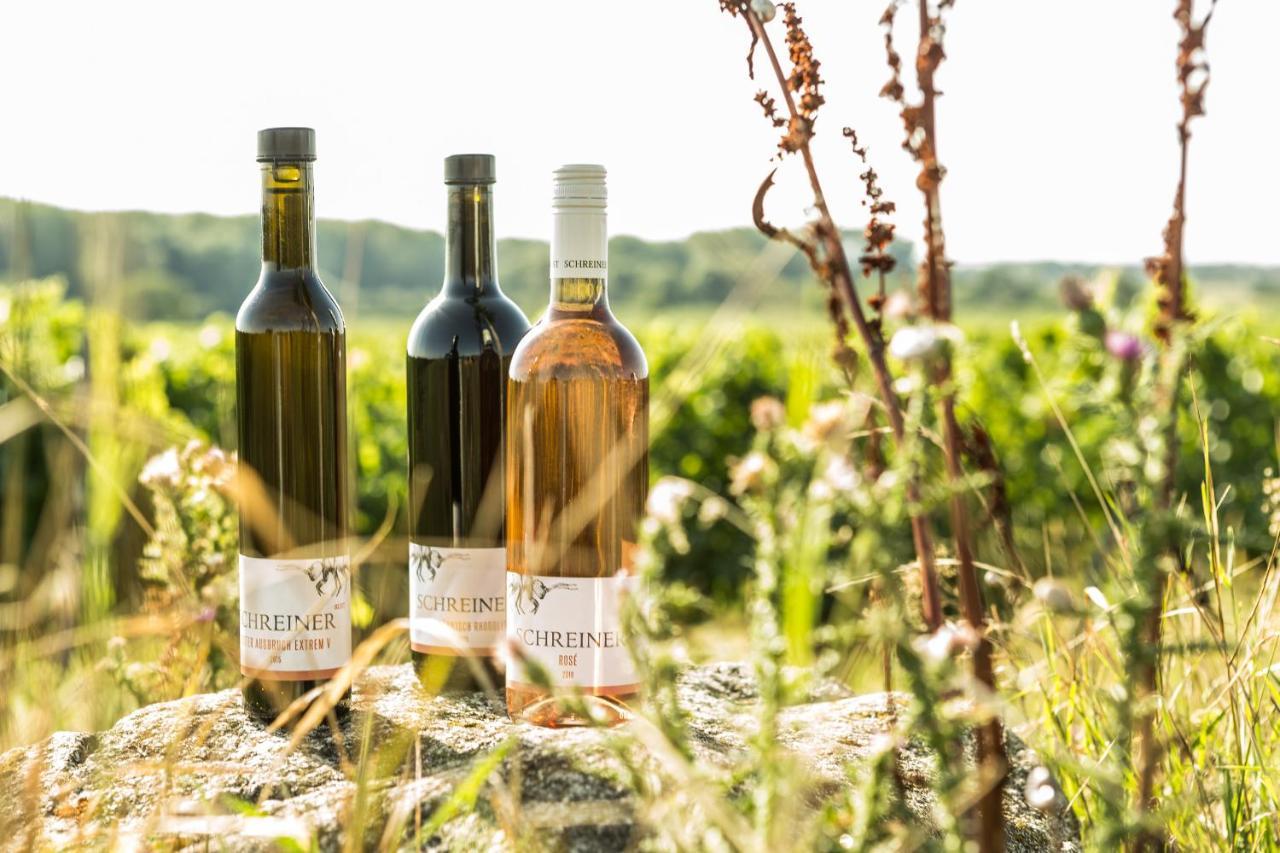 Apartmán Wohnatelier Im Bioweingut Rust Exteriér fotografie